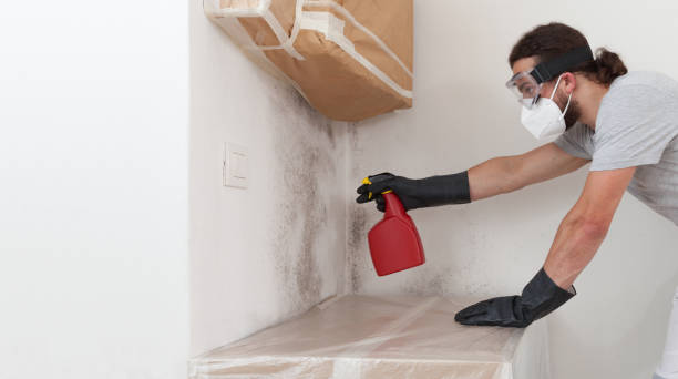Professional Mold Remediation technician working in Whitehall, MI